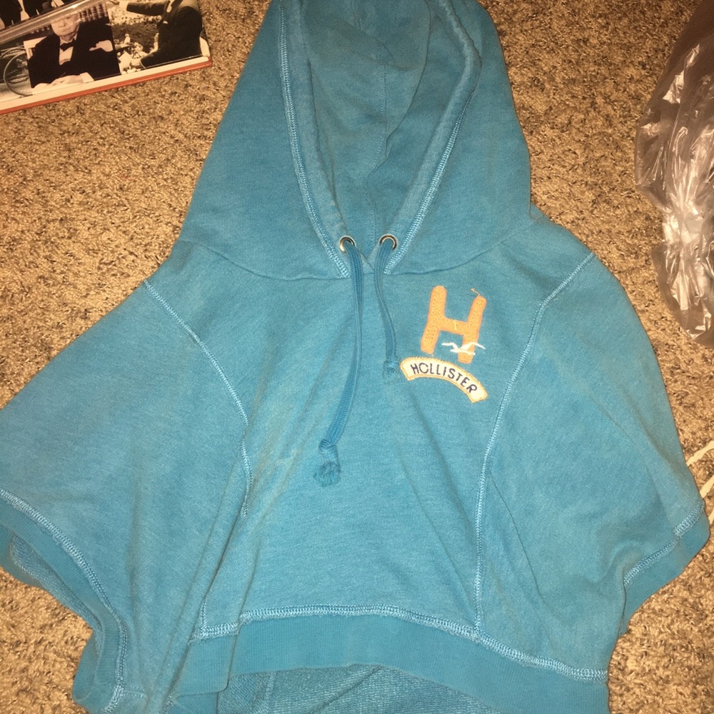 Hollister Crop Top Hoodie